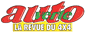 Auto verte