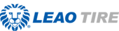 Pneu Leao