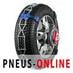 Catene da neve Pewag ServoStar RSC 910 V