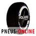 Chaine neige Polaire Show7 Nw S53
