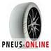 Chaine neige Isse Tribologic Super 62
