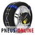 Schneeketten Michelin Fast Grip - 70