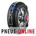 Chaine neige Pewag ServoStar RSC 840