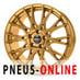 Velg Dotz Fuji Gold