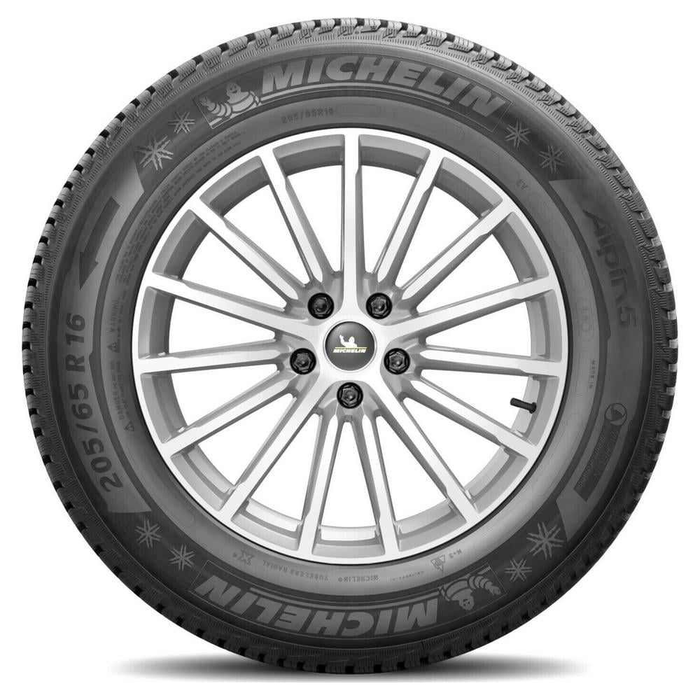 Michelin Alpin 5 band