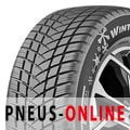GT Radial Champiro Winterpro 2 EVO XL