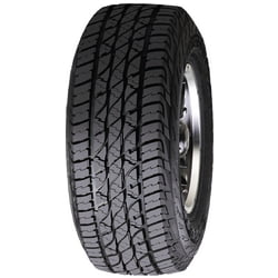 Pneumatici Accelera Omikron A/T