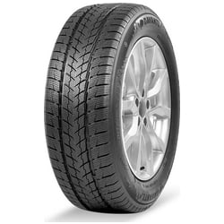 Davanti Wintoura SUV 275/40 R22 108 V Reifen