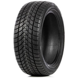 Pneu Delinte Winter WD1: Pneus Online