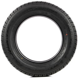 Autoband Delinte Winter WD2