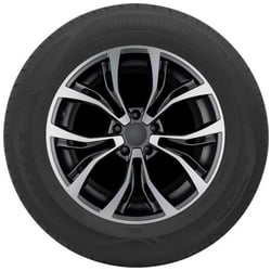 Pneumatici auto Delmax Ultima Touring