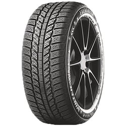 Evergreen EW62 195/60 R15 88 T Reifen
