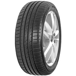 Pneu Fortuna Gowin UHP 205/55 R16 91 V