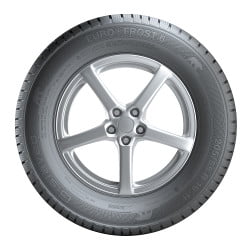 Pneu Auto Gislaved Eurofrost 6