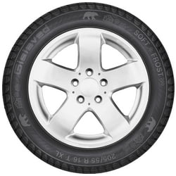 Pneu Auto Gislaved SoftFrost 200