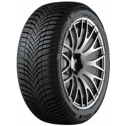Pneumatici auto Giti GitiWinter W2