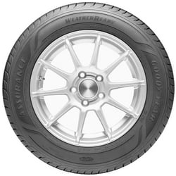 Pneu Auto Goodyear Assurance Weather Ready