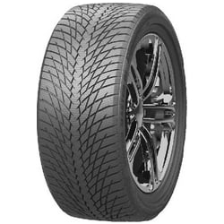 Pneu Auto Greentrac Winter Master D1