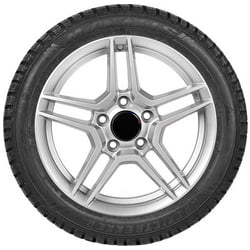 Car tire Maxxis NP3