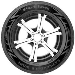 Pneu Auto Petlas Exploro Ice W681