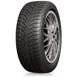 RoadX RX Frost WU01 225/40 R19 93 V tyre