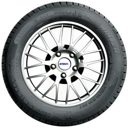 PKW-Reifen Strial 601