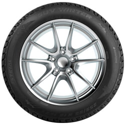 PKW-Reifen Strial SUV Winter
