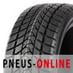 Autobanden Delinte Winter WD1