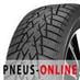 Pneu Auto Double Star DW01 Winterking