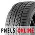 Pneumatici auto Double Star DW09 Winterking