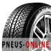 Pneumatici auto Wanli SW611