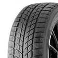 Double Star DW09 Winterking 215/45 R17 91 T  XL