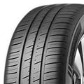 EVERGREEN DYNACOMFORT EH228 175/70R14 88T XL BSW