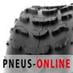 Pneu Quad Sun-F A-006