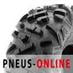 Pneu Quad Sun-F A-051