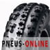 Pneu Quad Sun-F A-027